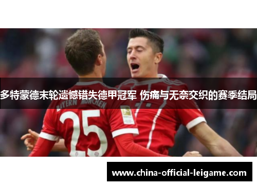 多特蒙德末轮遗憾错失德甲冠军 伤痛与无奈交织的赛季结局